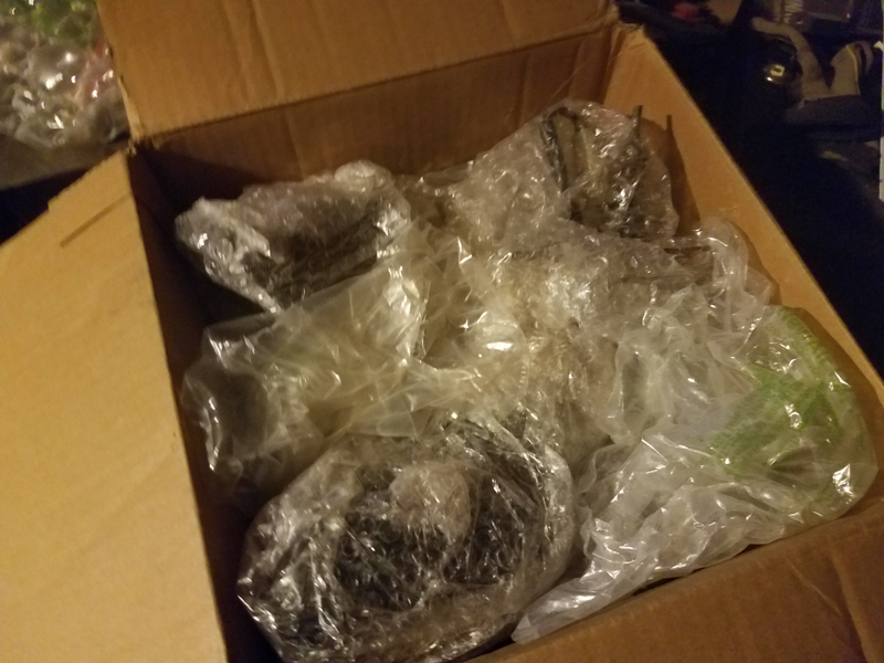 Illustration for article titled Unboxing and intimidation